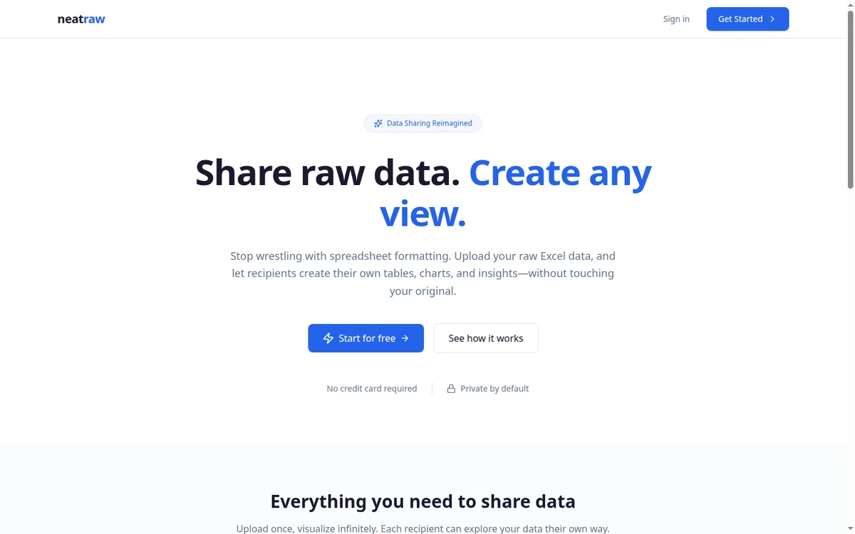 NeatRaw — AI Spreadsheet Analysis