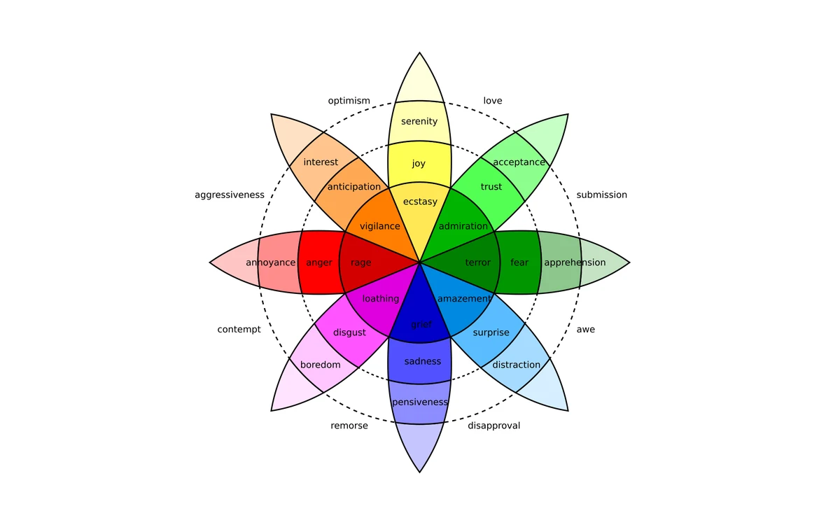 SATA — Emotion Classification